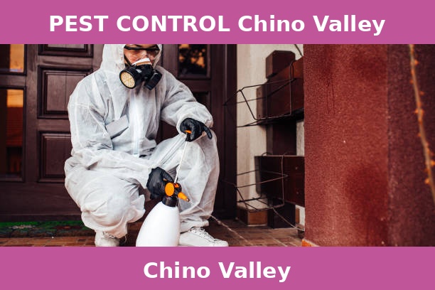 PEST CONTROL Chino Valley